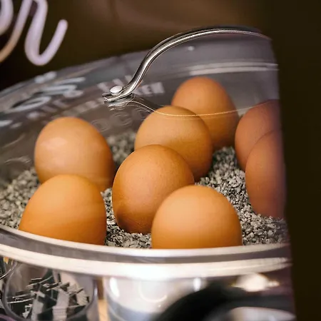 B&B Hotel Emden Отель Эмден